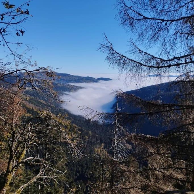 Aux Balcons De La Vallee Soultzeren المظهر الخارجي الصورة