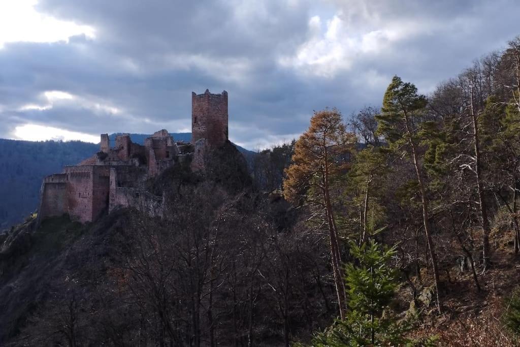 Aux Balcons De La Vallee Soultzeren المظهر الخارجي الصورة